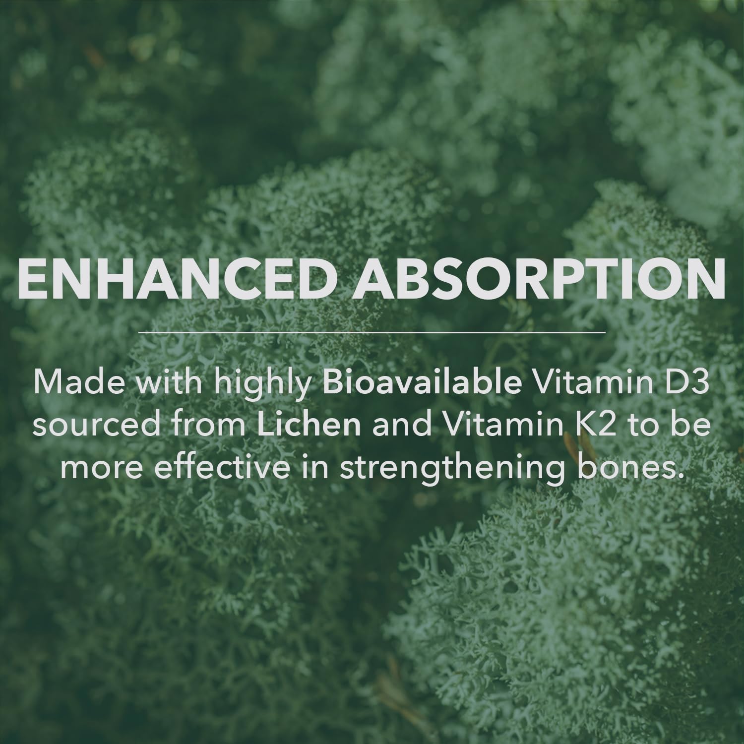 Graphic indicating immune support and mood regulation from Vitamin D3 + K2
