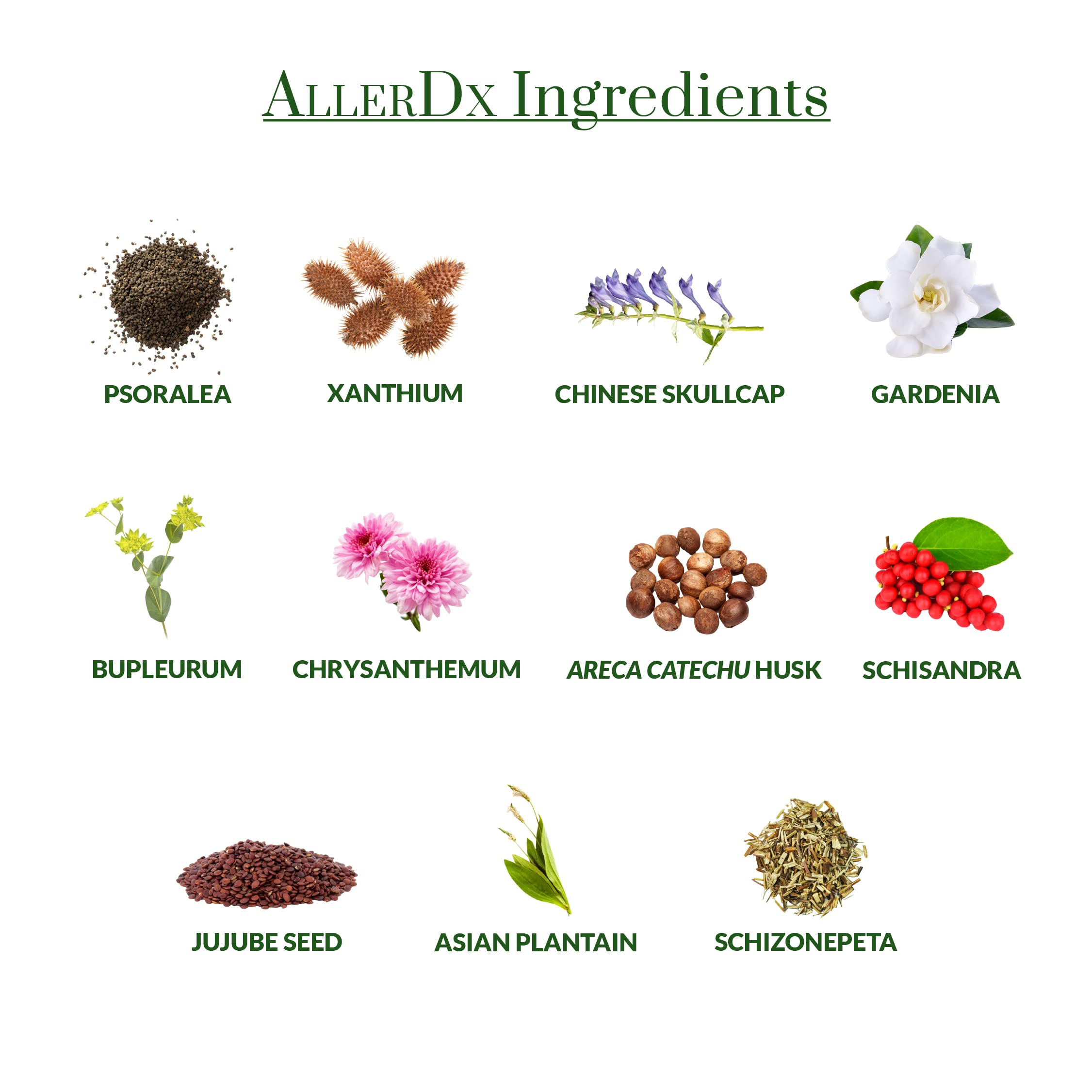 Plantiva AllerDx packaging with eco-friendly design and sustainable sourcing notes.