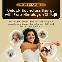 Platinum Shilajit formula highlighting high bioavailability