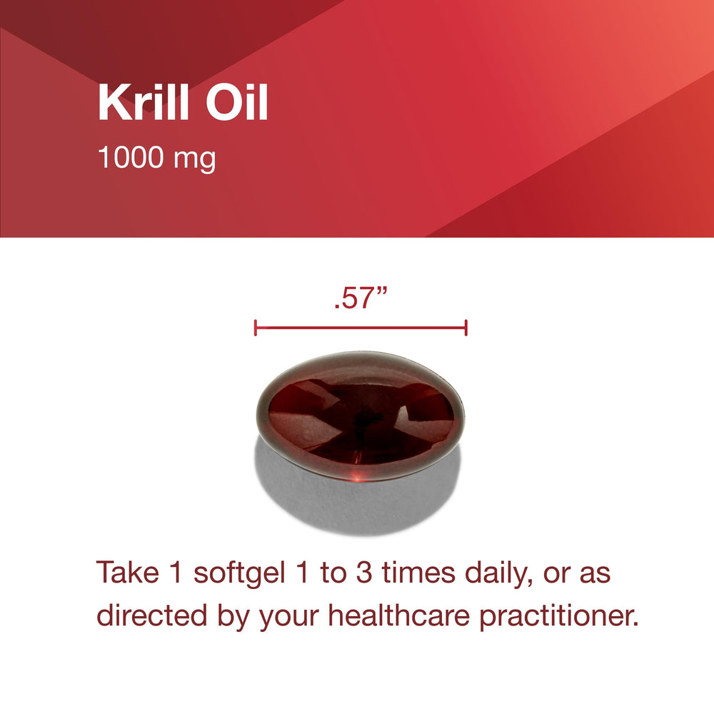 Illustration of heart brain and joints support from krill oil