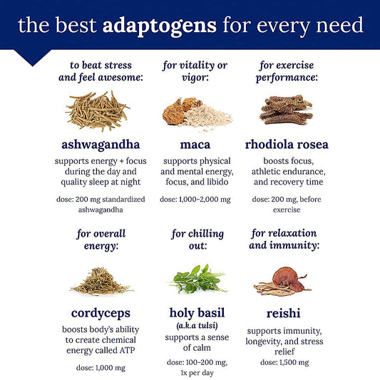 Close-up of product ingredients highlighting gluten free, dairy free, soy free, nut free and vegetarian attributes
