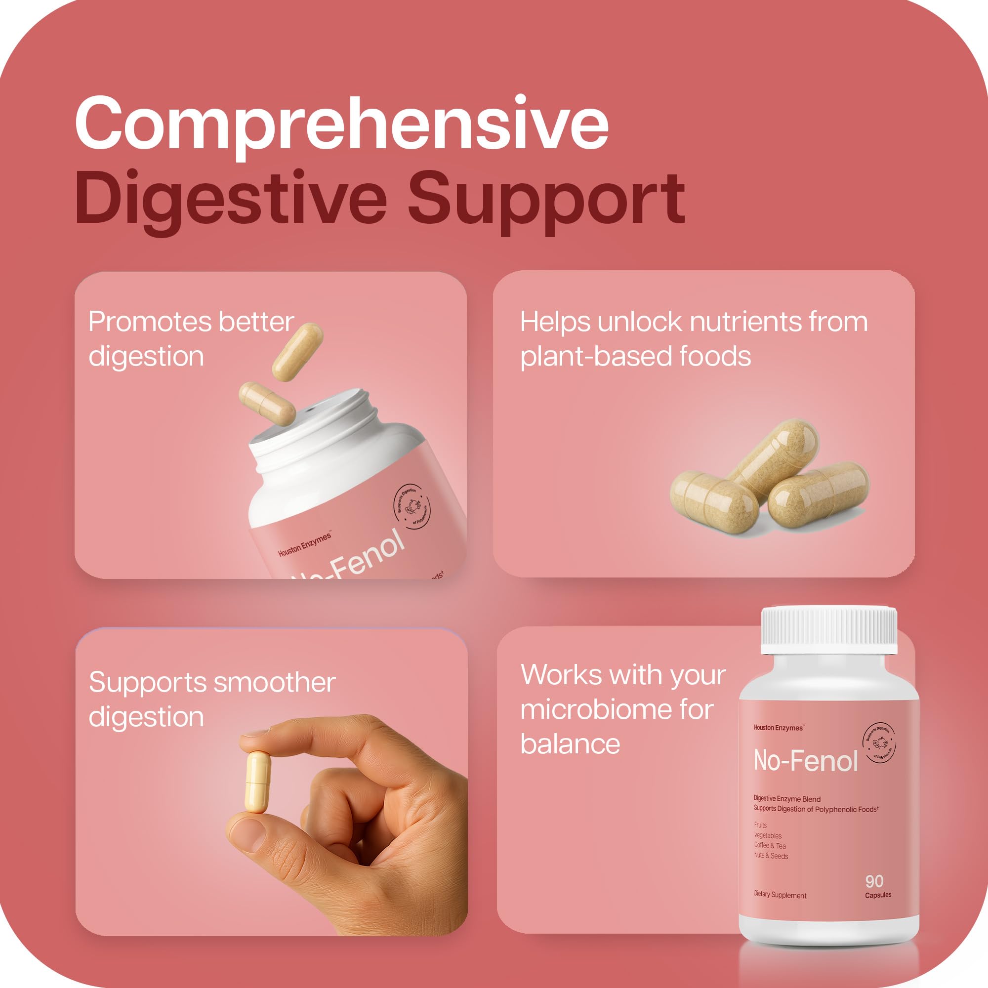 Graphic illustrating polyphenol digestion
