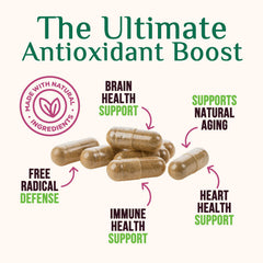 Resveratrol antioxidant polyphenols for immune support