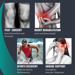 Close-up of KannopiaActive softgels and supplement ingredients