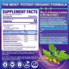 Two-pack box of Potassium Magnesium Gummies