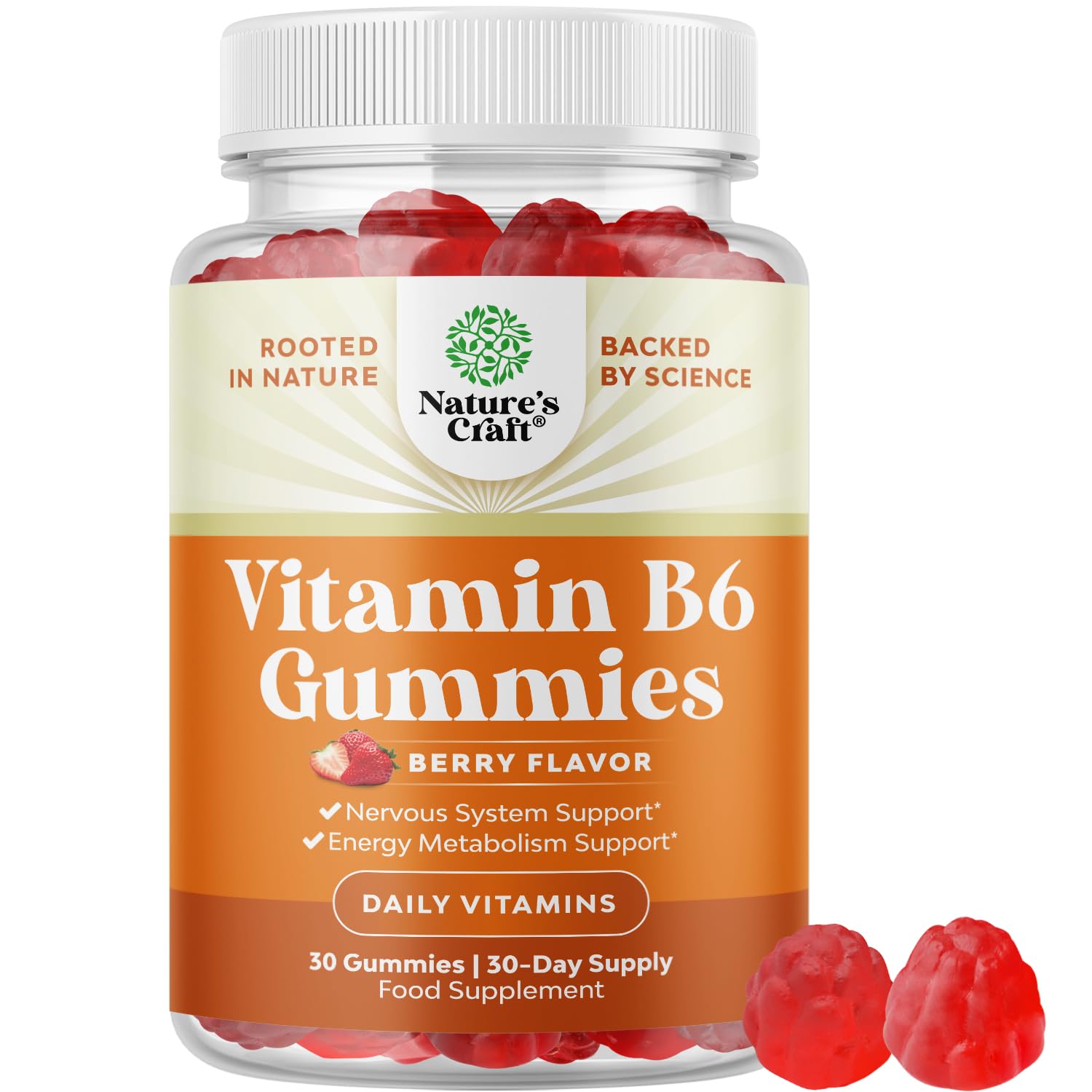 Potent Vitamin B6 Gummies for Adults bottle label