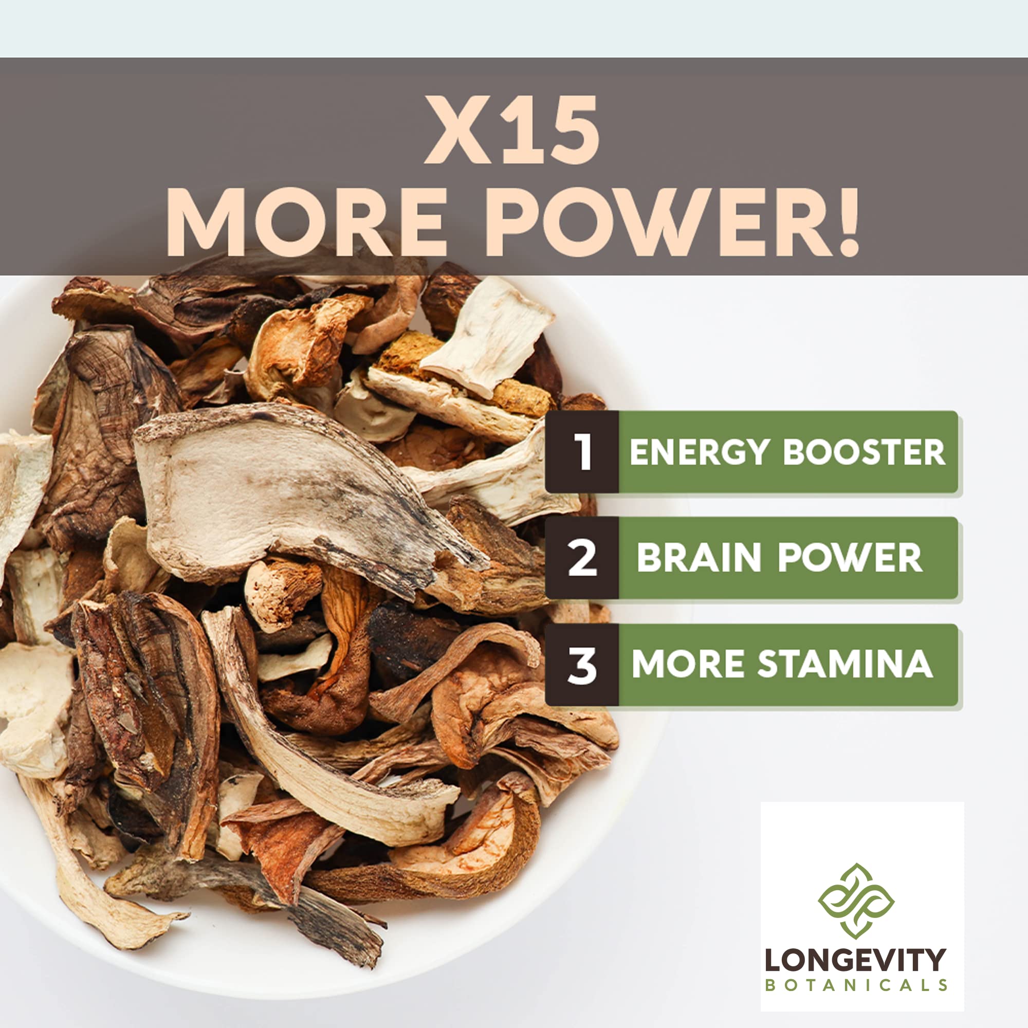 Cordyceps and Turkey Tail mushrooms in Power 15