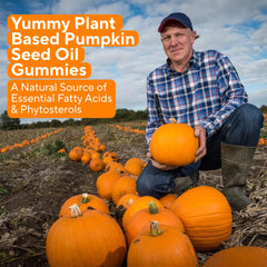 Ingredients panel for Power Grain Pumpkin Seed Oil Gummies