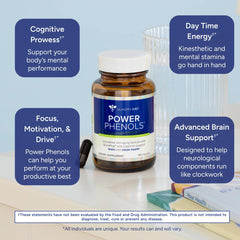 Power Phenols brain health ingredients overview