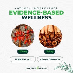 Label showing 120 servings for POWERED X PLANTS Berberine