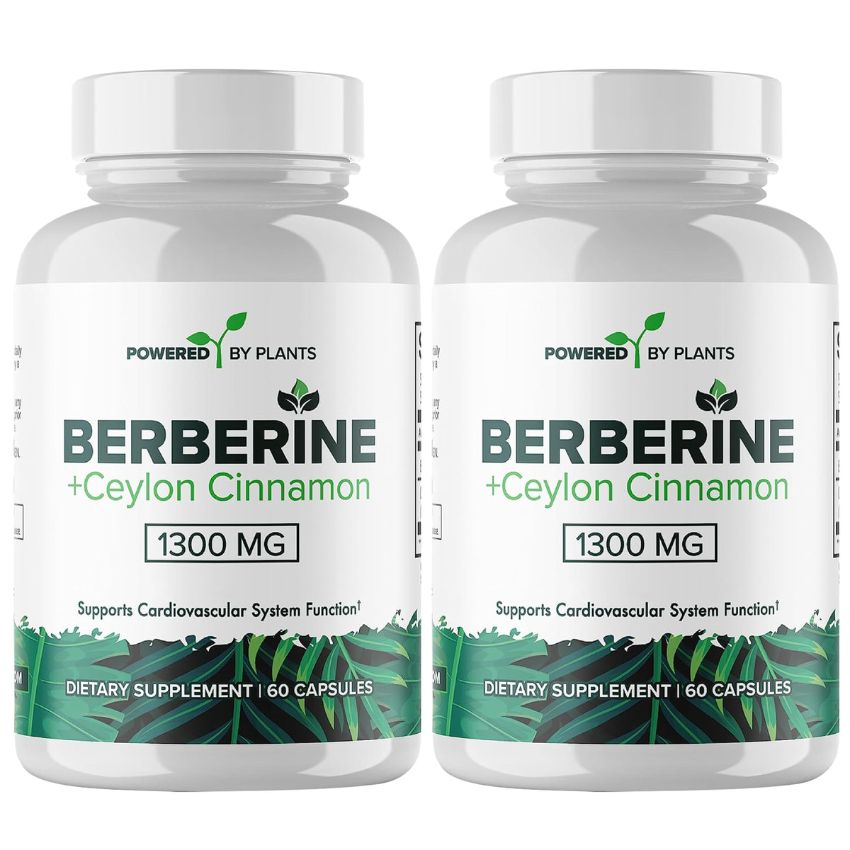 POWERED X PLANTS Berberine 1300mg with Cinnamon bottle - hero image