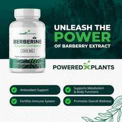 Two-pack POWERED X PLANTS Berberine bottles