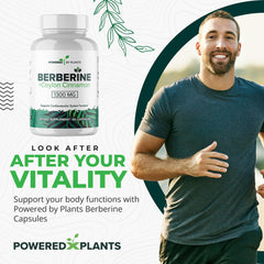 Ingredients label for POWERED X PLANTS Berberine product