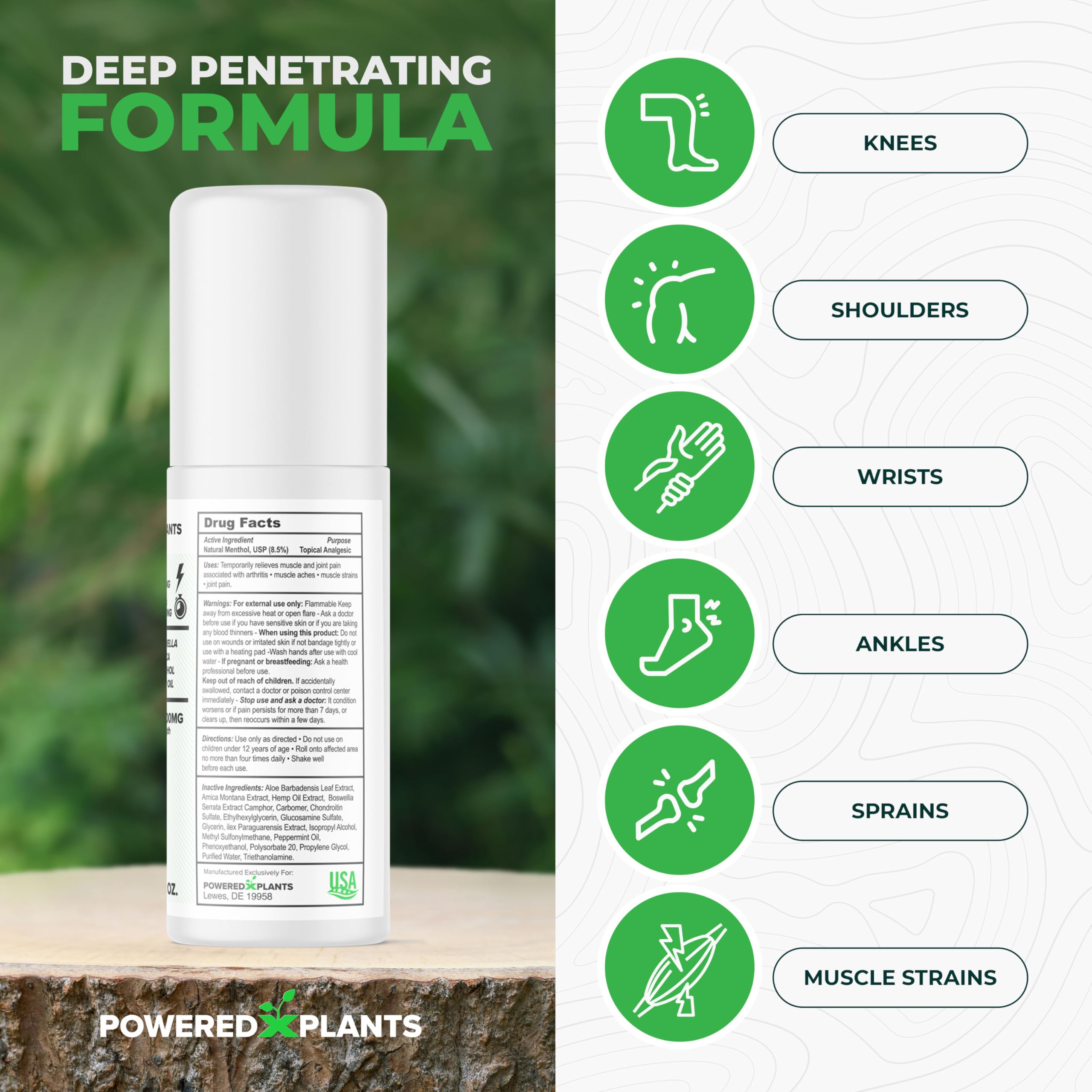 Illustration of ingredients: boswellia, arnica, aloe vera and peppermint
