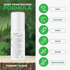 Illustration of ingredients: boswellia, arnica, aloe vera and peppermint