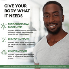 Brain and energy support illustration showing mitochondria