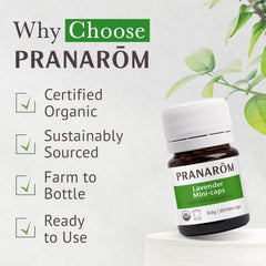 A box packaging of Pranarom Aromaforce Lavender Mini-Caps