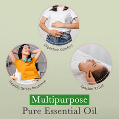 Close-up of peppermint essential oil used in Aromaforce capsules