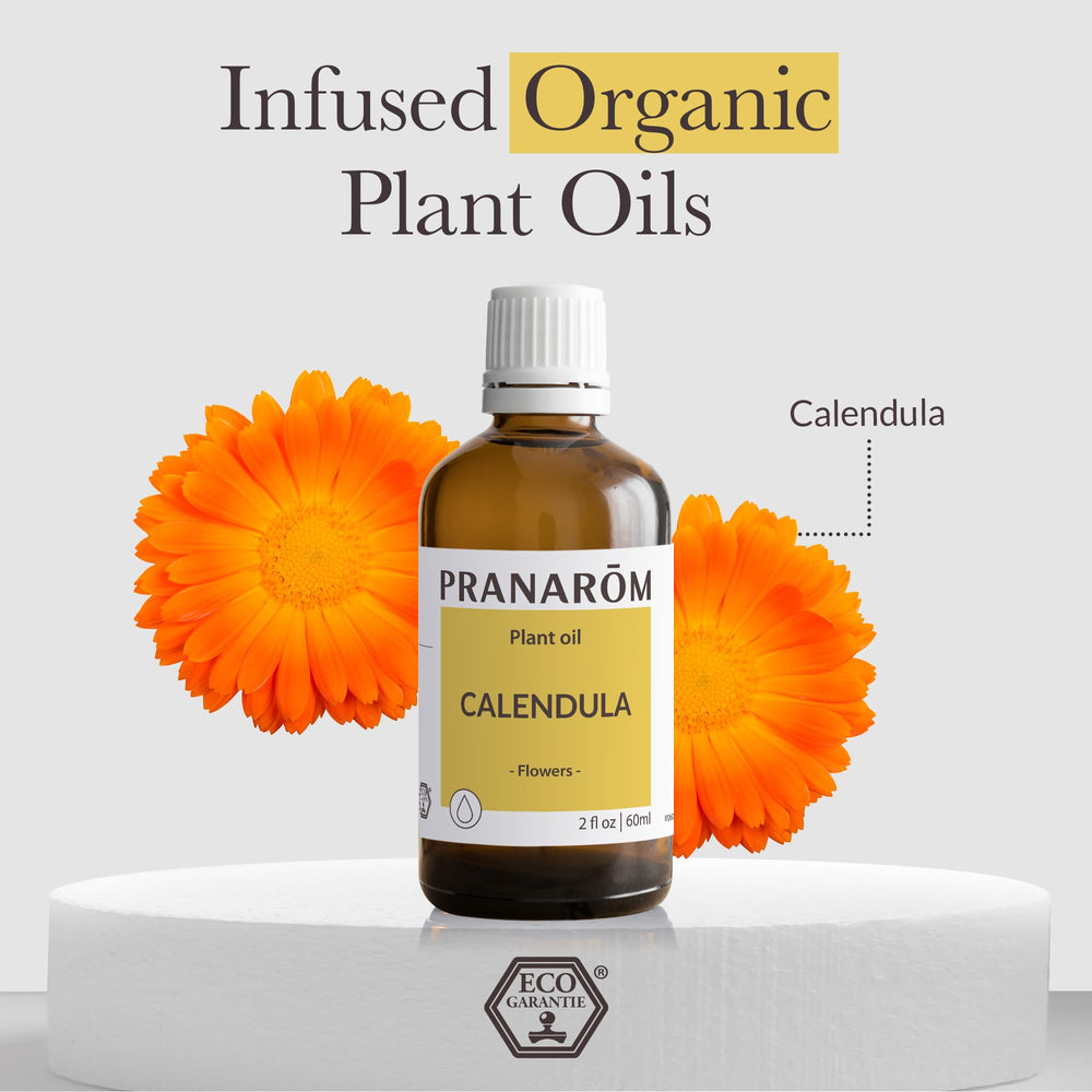 Applying Calendula oil to the skin as a gentle moisturizer