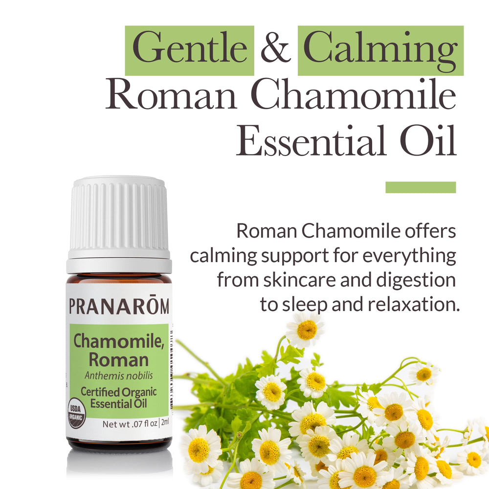 Pranarom Chamomile Roman diffuser scene for relaxing ambience and stress relief