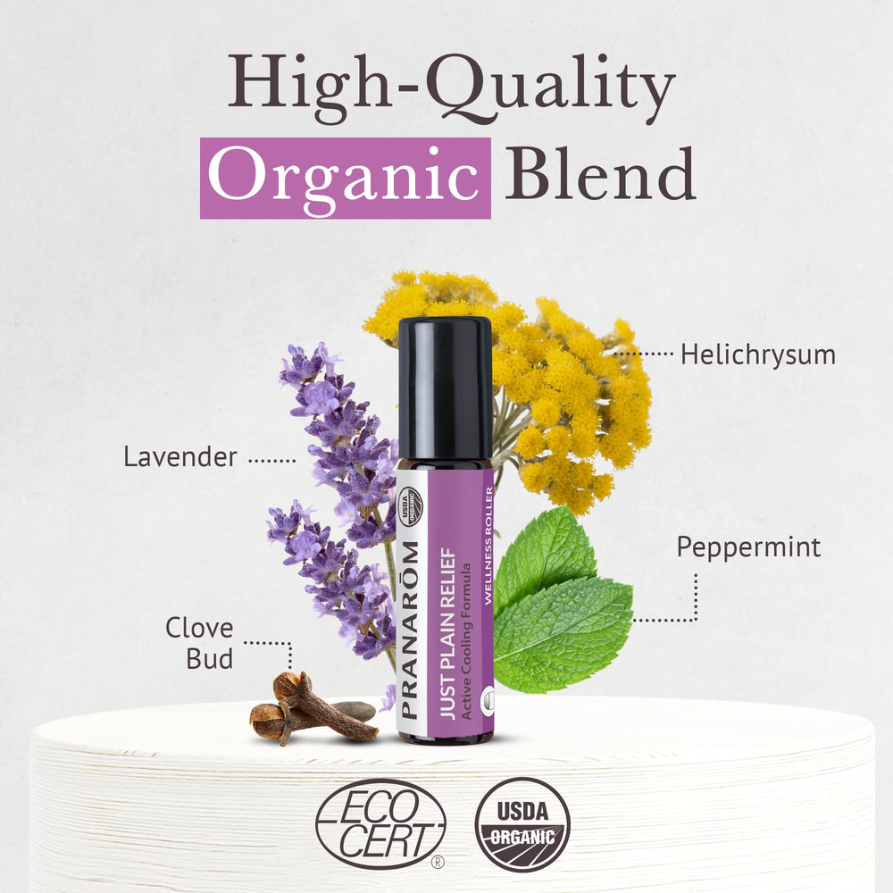 Diffuser with Just Plain Relief essential oil in use