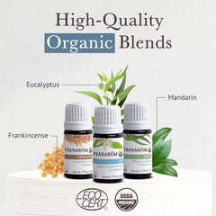 Diffuser-ready essential oils for meditation and focus