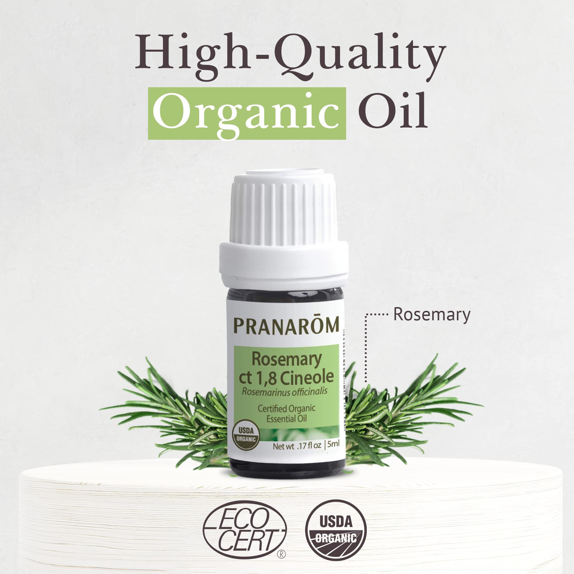 Pranarom Rosemary Cineole diffuser in use, filling a room with herbaceous notes.