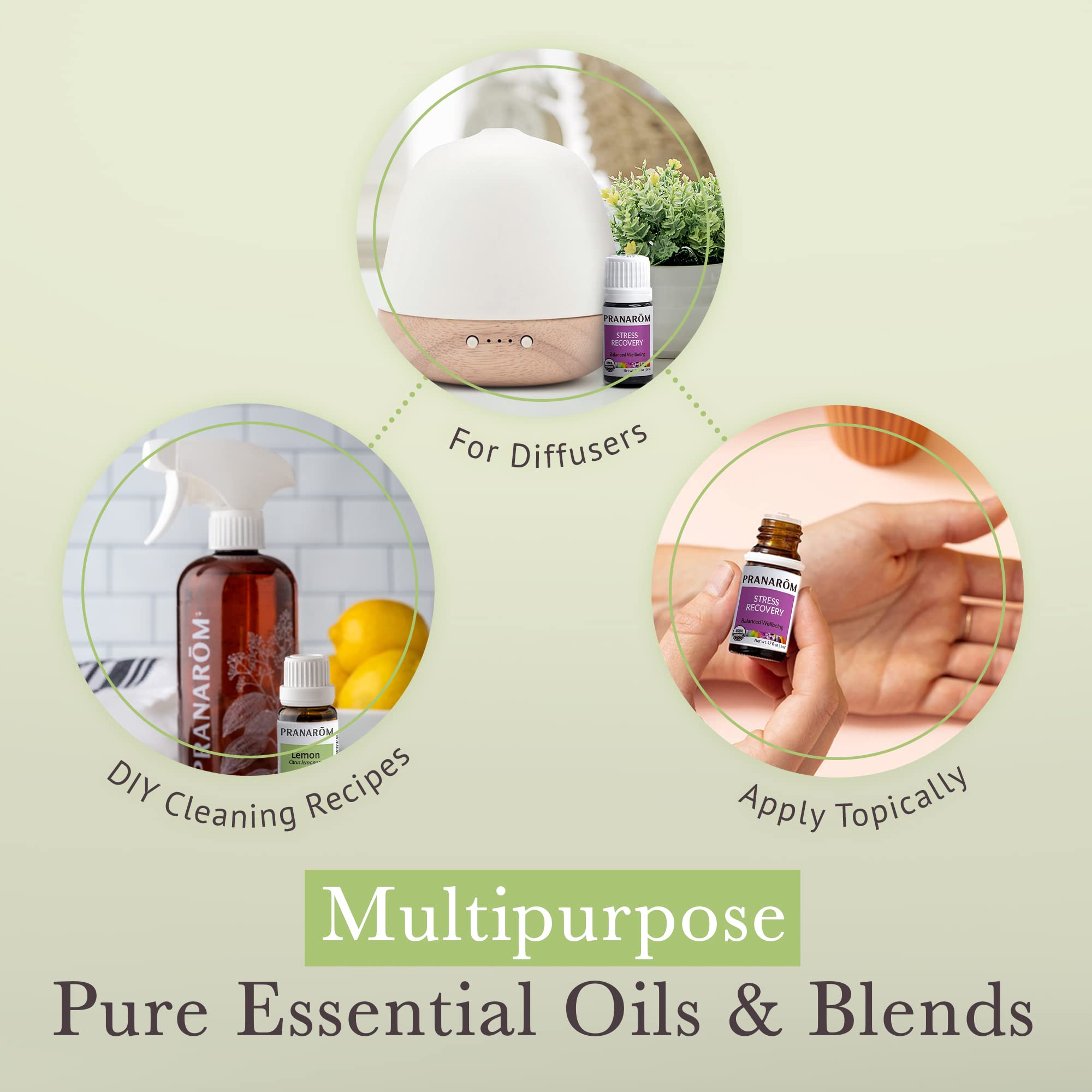 Grapefruit essential oil 5ml bottle from Pranarom starter kit