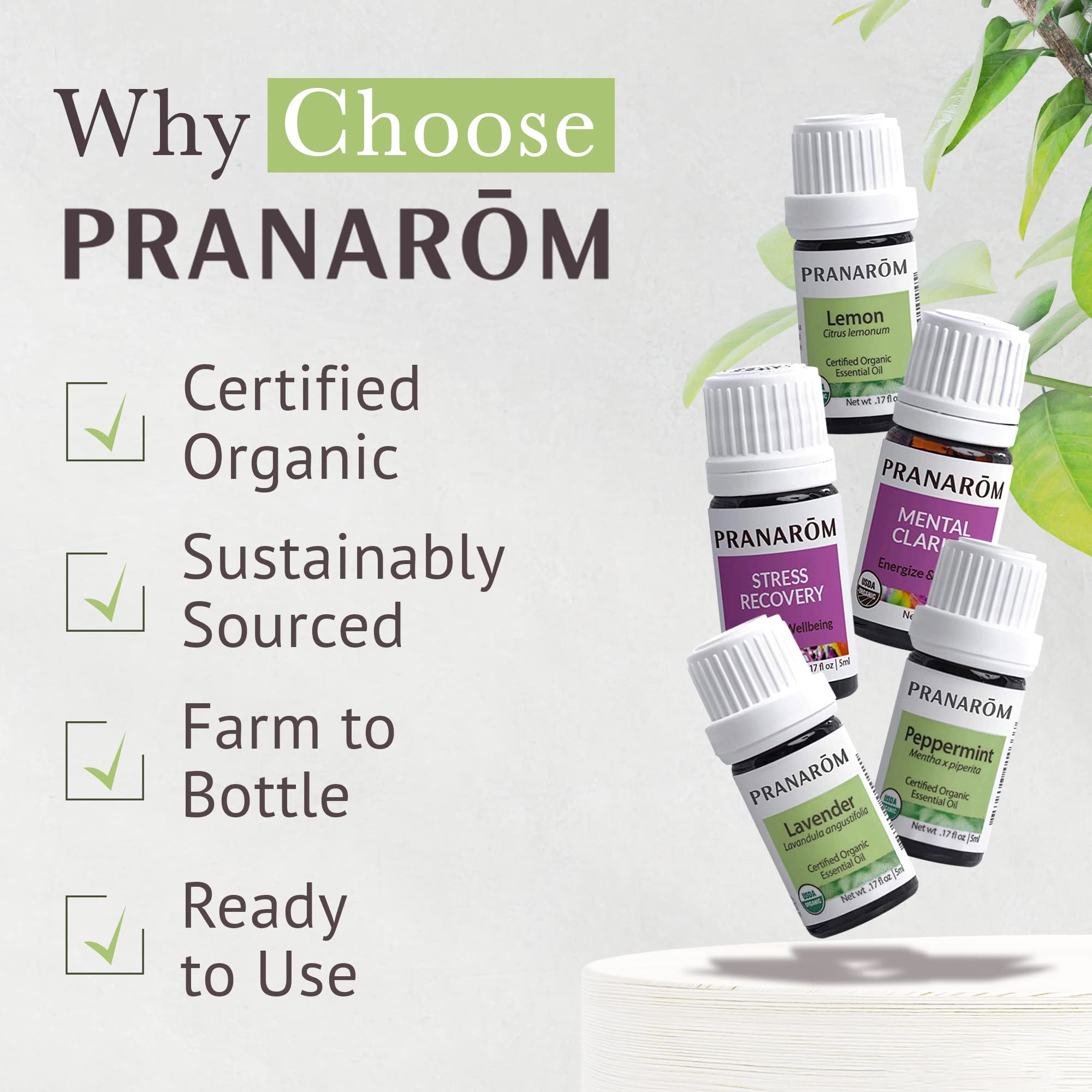Pranarom starter kit packaging with five oil bottles