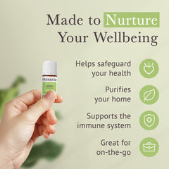 Sage essential oil 5ml bottle from Pranarom starter kit