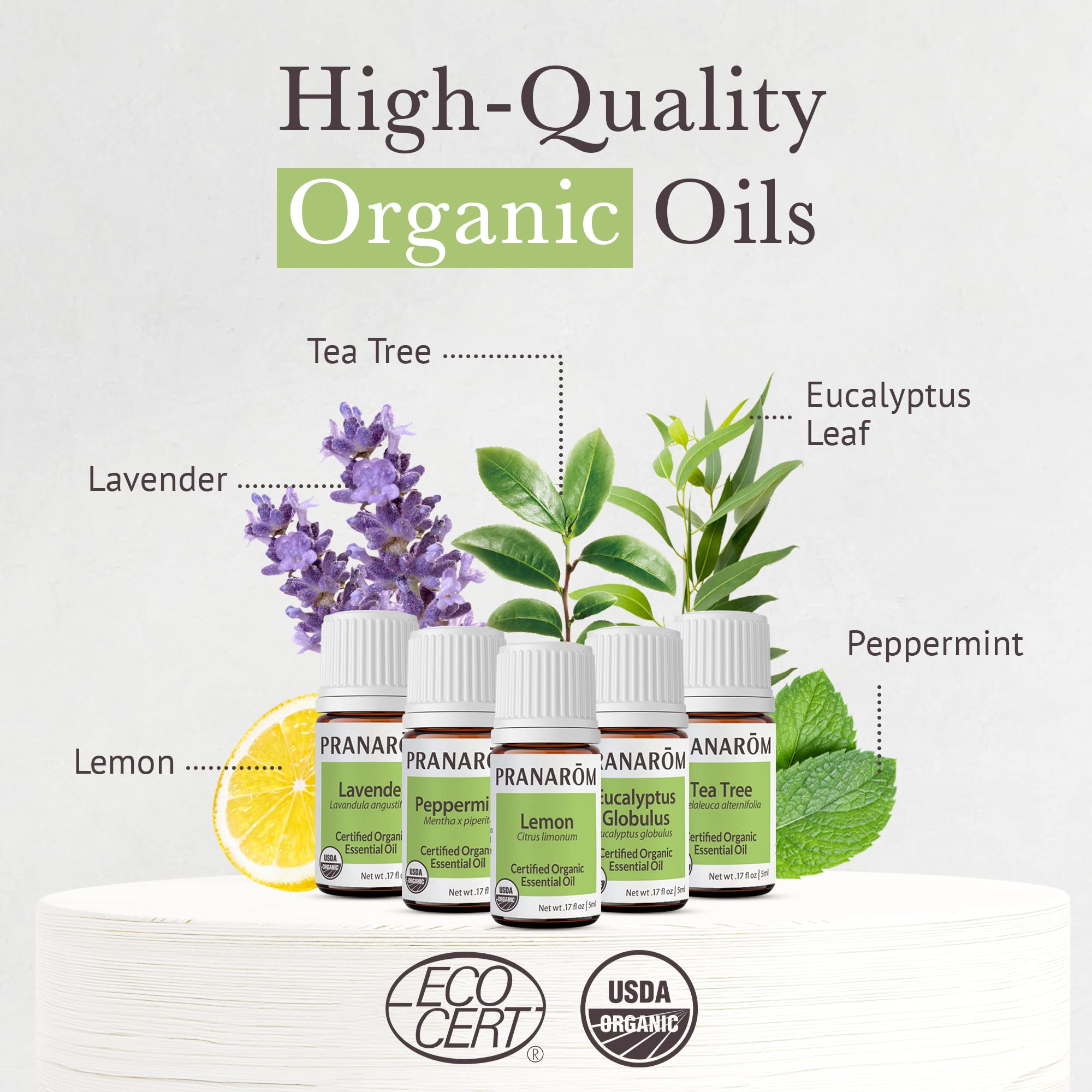 Tea tree essential oil 5ml bottle (Pranarom Top 5 Kit)