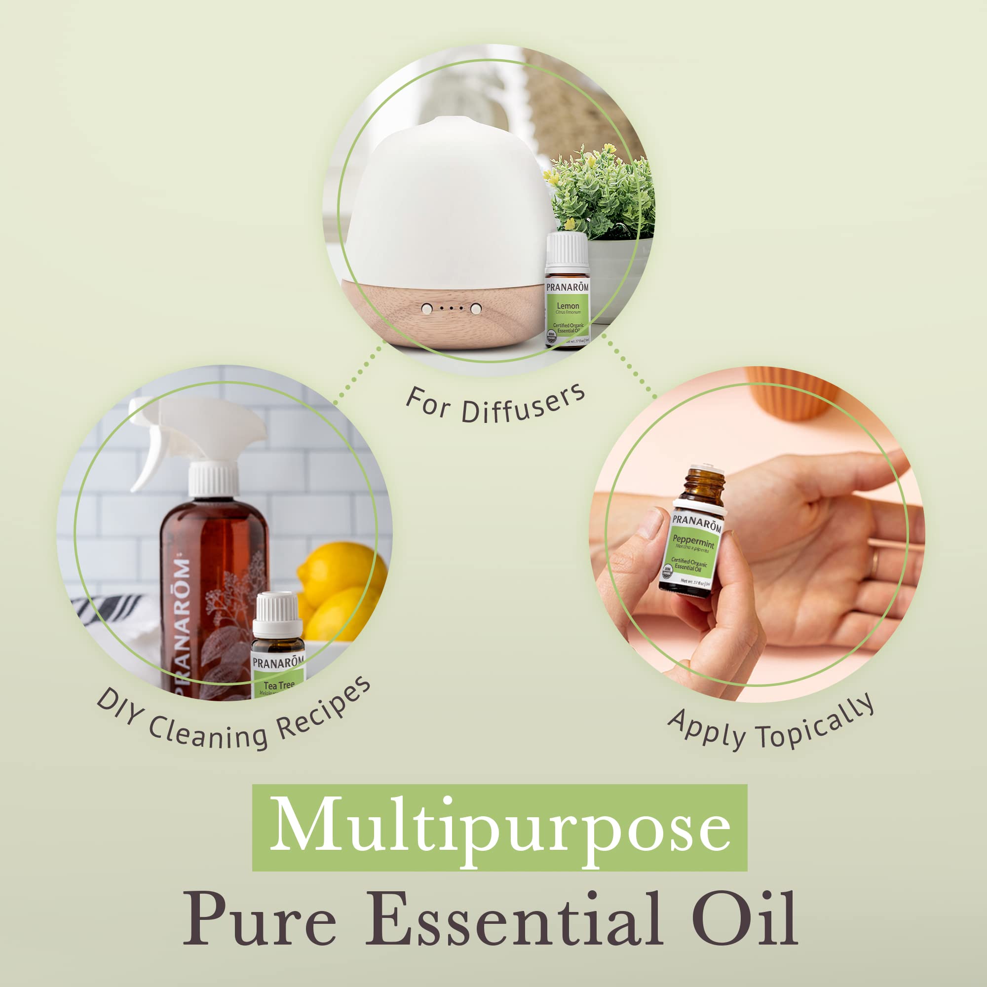 Eucalyptus essential oil 5ml bottle (Pranarom Top 5 Kit)