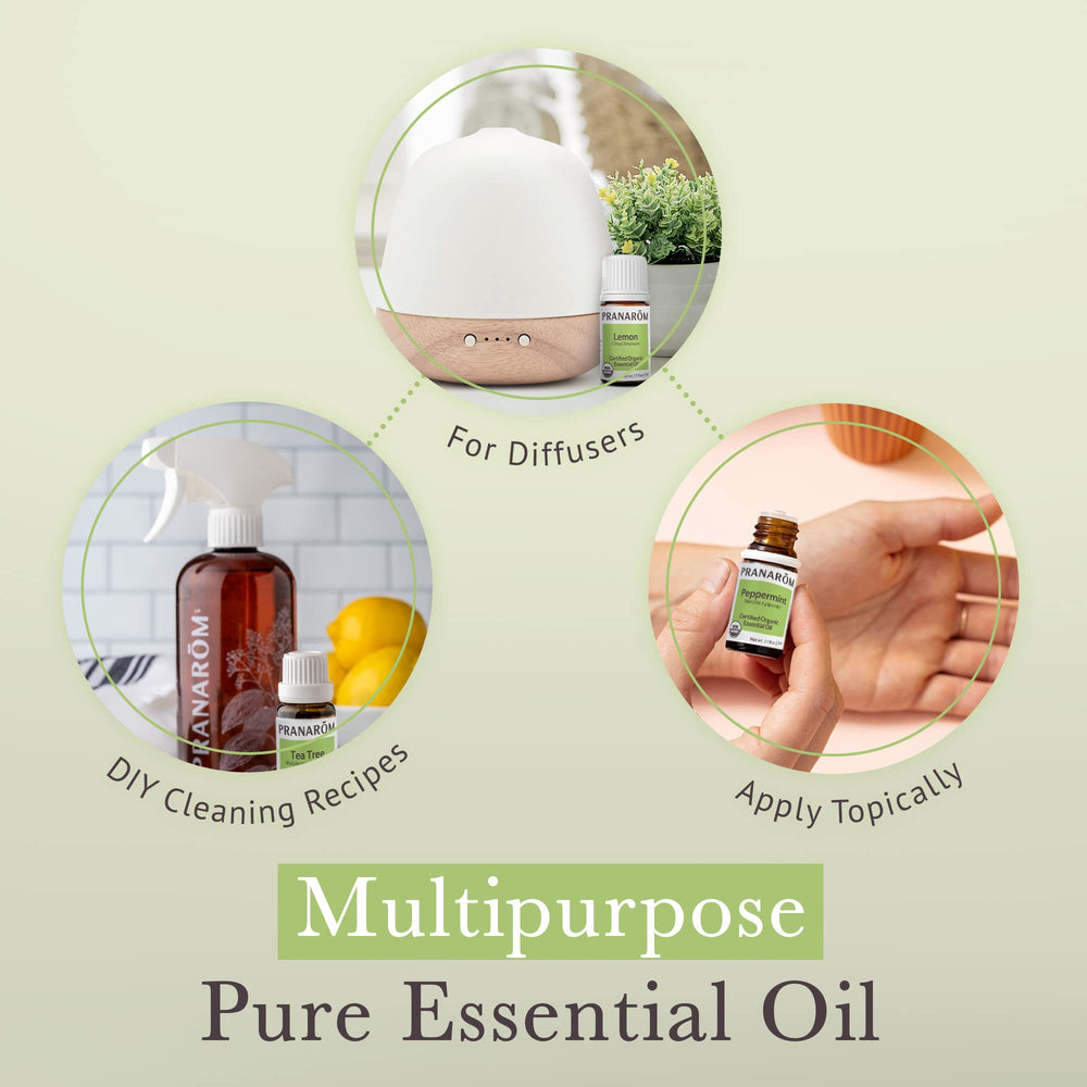 Eucalyptus essential oil 5ml bottle (Pranarom Top 5 Kit)