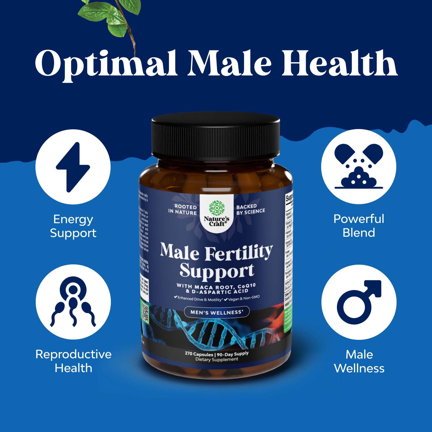 Maca root and methyl folate ingredients
