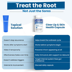 Graphic of prebiotic blend supporting gut balance and mucosal health with vitamin C.