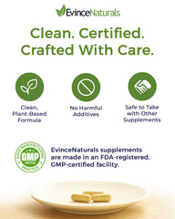 Plant-based prebiotic fiber for gut nourishment