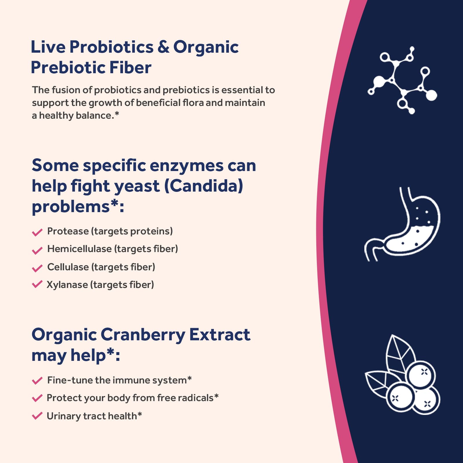 Probiotic formula with prebiotic fiber, enzymes and cranberry
