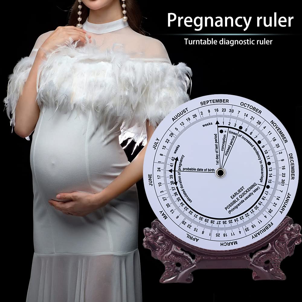 ABS plastic pregnancy wheel with rotatable small wheels
