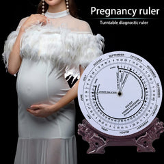 ABS plastic pregnancy wheel with rotatable small wheels