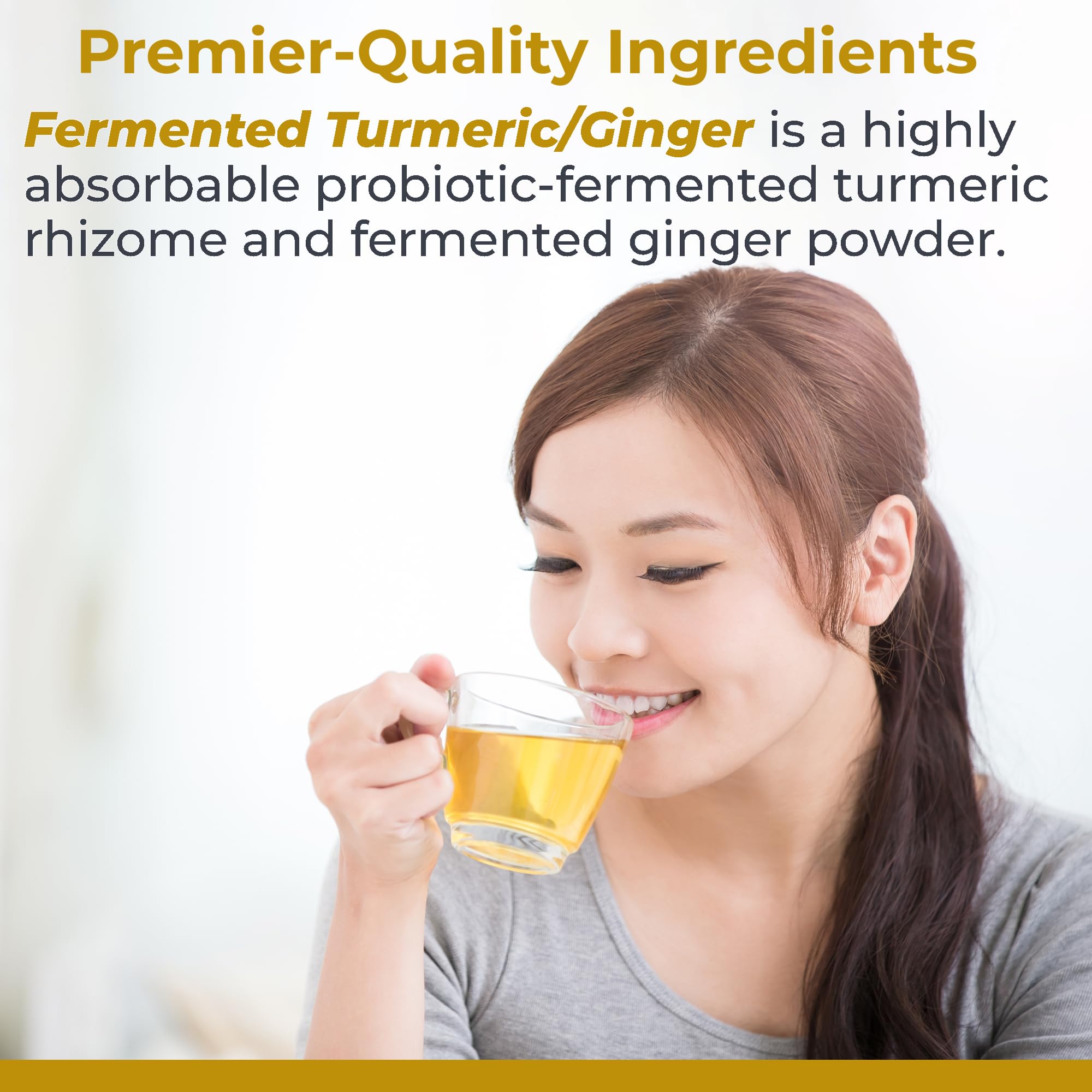 Fermented turmeric-ginger powder texture