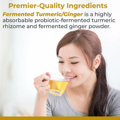 Fermented turmeric-ginger powder texture