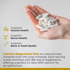 Marine coral calcium and magnesium ingredients illustration