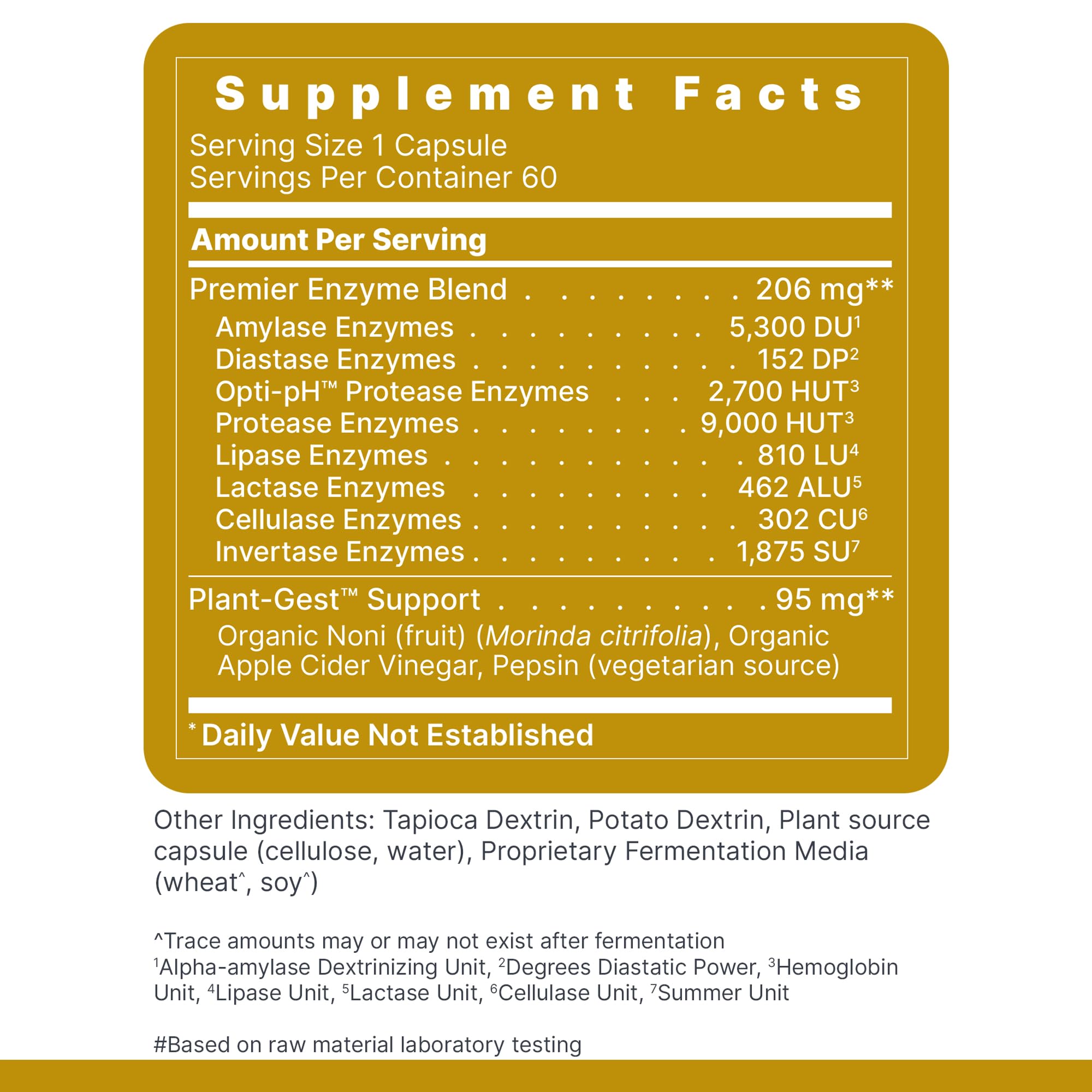 Lifestyle image illustrating digestive support and wellness