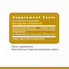 Sleep-support visual with Premier Research Labs magnesium glycinate capsules