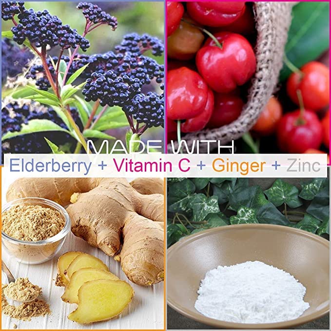 Premium European black elderberry extract 10 to 1 ratio
