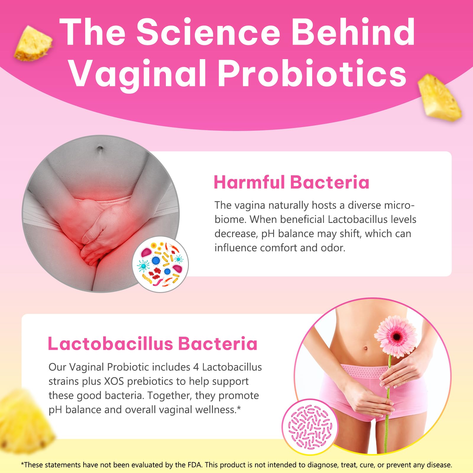Probiotic illustration featuring Bacillus Coagulans