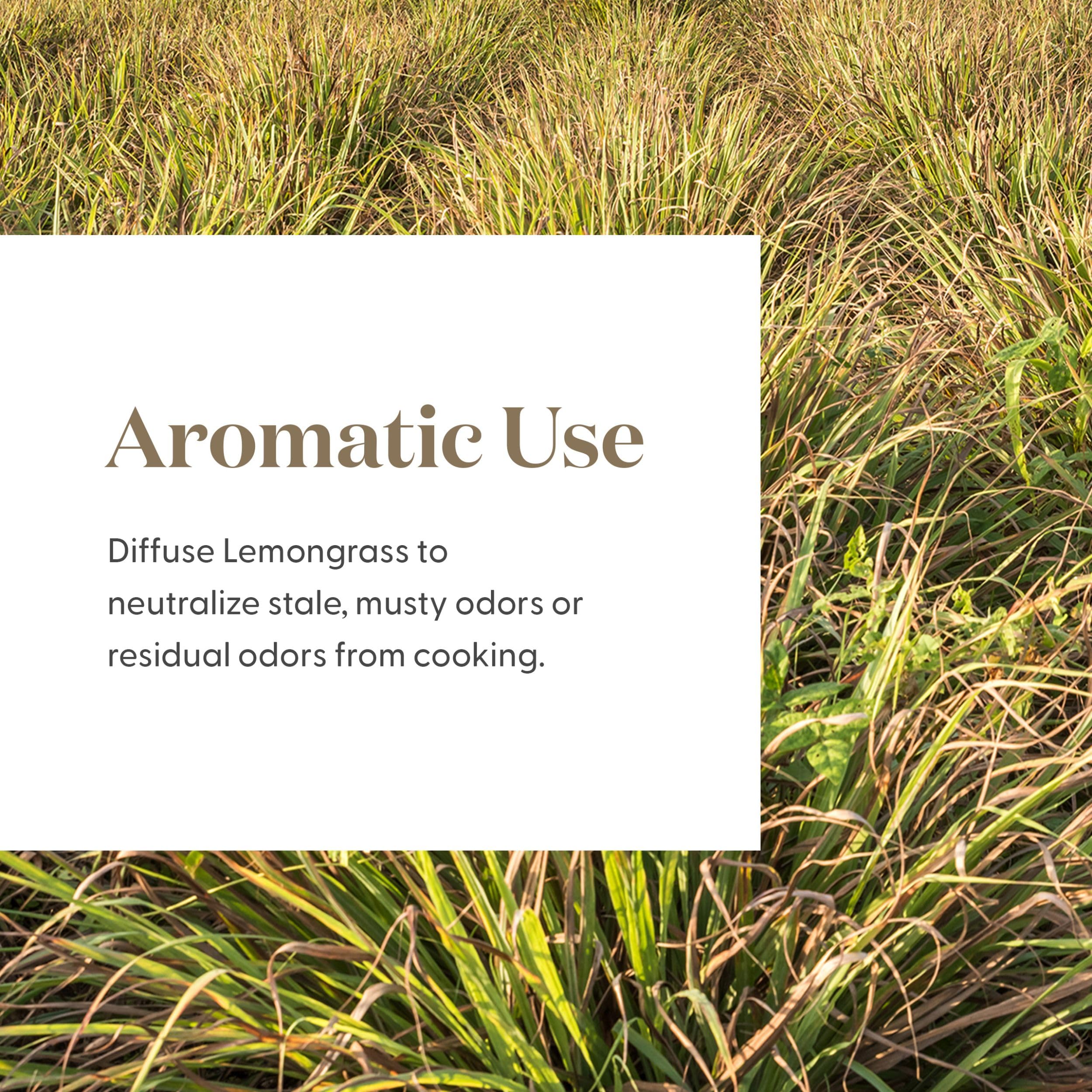 Premium packaging for lemongrass essential oil