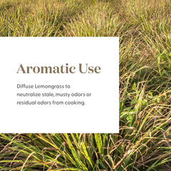 Premium packaging for lemongrass essential oil