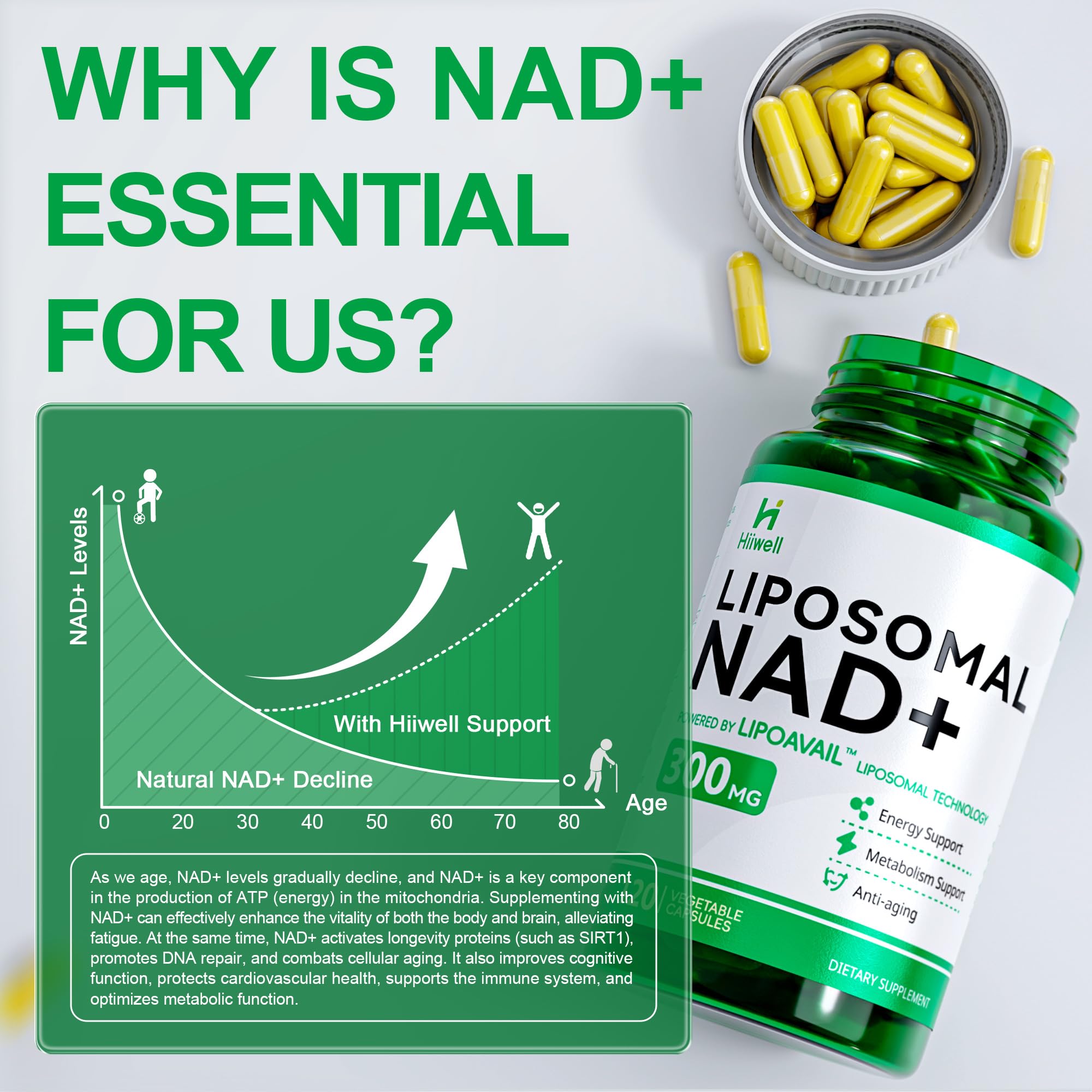 cGMP certified facility badge indicating quality and purity