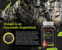 Premium quality Shilajit gummies product shot